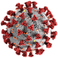 Koronavirus